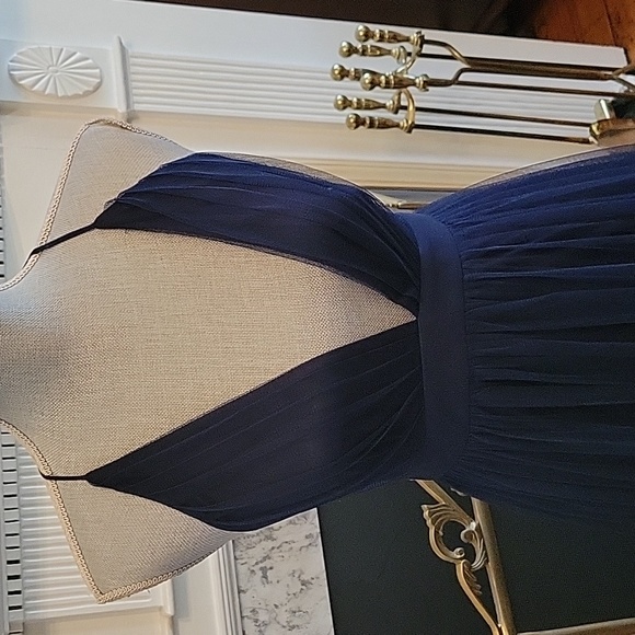 Windsor Elizabeth Pleated Tulle Maxi Dress - Picture 6 of 13